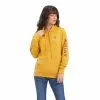 Ariat® Ladies R.E.A.L™ Logo Nugget Gold Hoodie 10041636