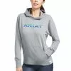 Ariat® Ladies 3D Logo 2.0 Heather Grey Pullover Sweatshirt 10039223 -Wildwest Store S22 WMS ENGL 10039223 front